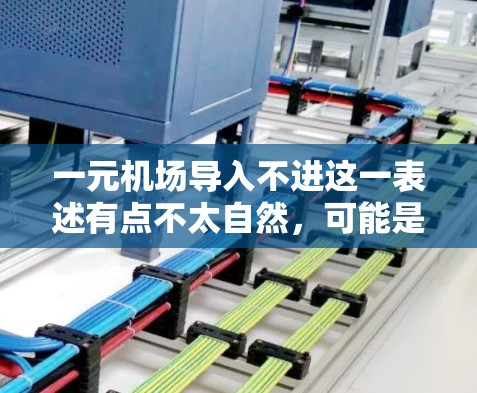 一元机场导入不进这一表述有点不太自然，可能是指机场的入口不太方便或 convenient。如果您在机场遇到导入不进的问题，建议您尝试以下方法