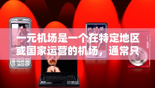 一元机场是一个在特定地区或国家运营的机场,通常只服务于一条主要航线或主要线路。以下是对一元机场的详细分析