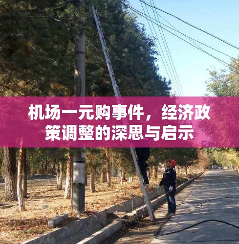 机场一元购事件，经济政策调整的深思与启示