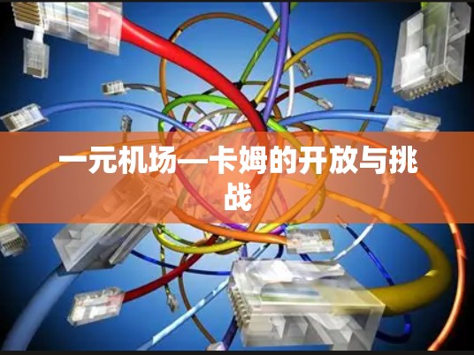 一元机场—卡姆的开放与挑战