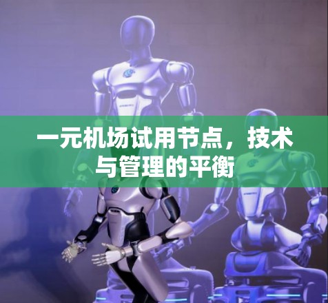 一元机场试用节点,技术与管理的平衡