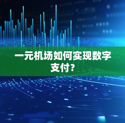 一元机场如何实现数字支付？
