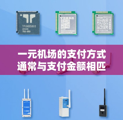 一元机场的支付方式通常与支付金额相匹配，具体如下