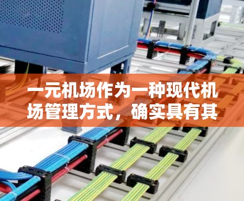 一元机场作为一种现代机场管理方式，确实具有其独特的优势和挑战。以下是对一元机场的详细分析