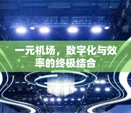 一元机场，数字化与效率的终极结合