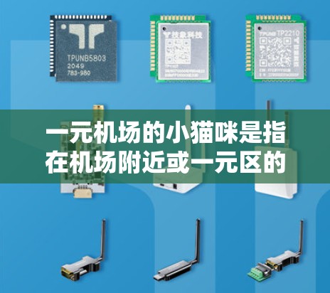 一元机场的小猫咪是指在机场附近或一元区的小型猫咪，通常指的是宠物猫或流浪猫。它们通常以小型猫咪为主，如公鸡、狗、兔子等。以下是一些关于一元机场小猫咪的一些信息