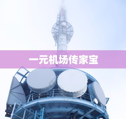 一元机场传家宝