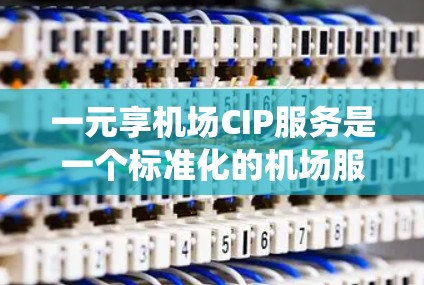 一元享机场CIP服务是一个标准化的机场服务模式，旨在提供一个统一、高效、便捷的机场体验。以下是对这一服务模式的详细分析