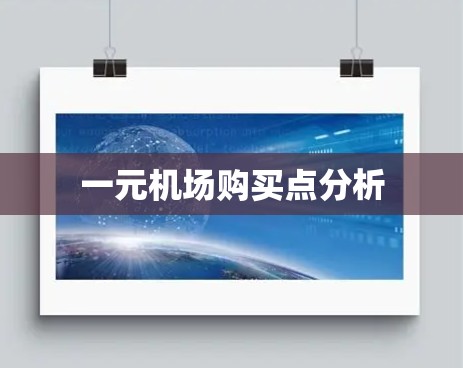 一元机场购买点分析