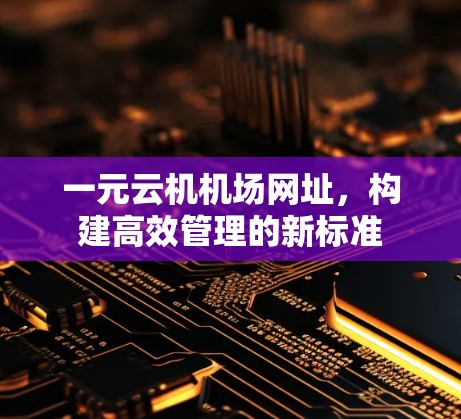 一元云机机场网址，构建高效管理的新标准