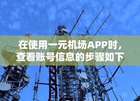 在使用一元机场APP时，查看账号信息的步骤如下