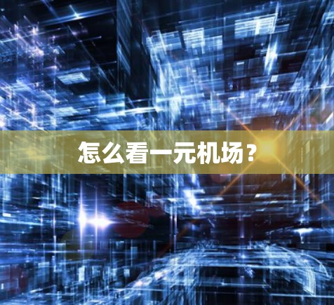 怎么看一元机场?