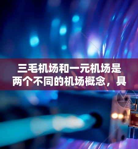 三毛机场和一元机场是两个不同的机场概念，具体含义如下
