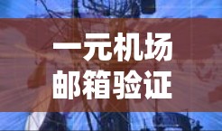 一元机场邮箱验证失败通常与邮箱设置有关，以下是一些可能的原因和解决方法