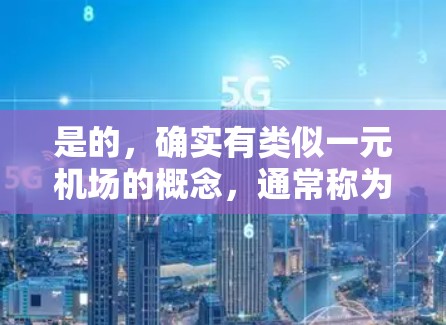 是的，确实有类似一元机场的概念，通常称为一元交通站或单点交通中心。这种设计旨在减少交通压力，提高效率。以下是该概念的几个关键点