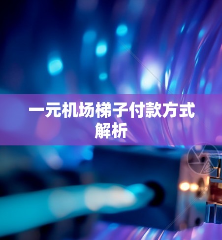 一元机场梯子付款方式解析