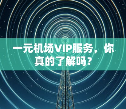 一元机场VIP服务,你真的了解吗?