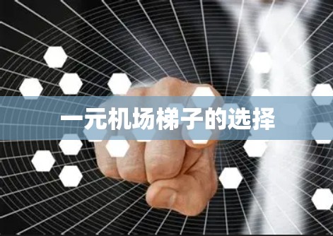 一元机场梯子的选择