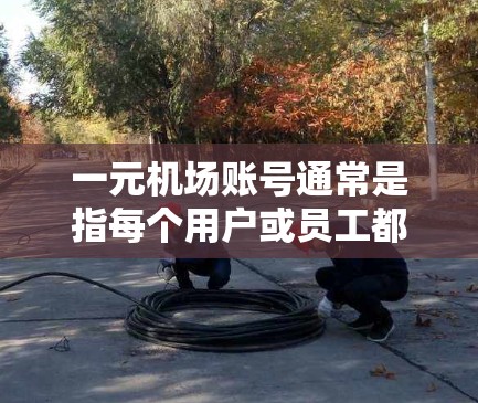 一元机场账号通常是指每个用户或员工都使用一个独立的账号进行登录和操作。因此，理论上，一元机场账号是可以在不同用户之间共用的。以下是关于一元机场账号是否可以共用的一些关键点