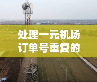 处理一元机场订单号重复的问题需要综合考虑数据检查、系统检查、处理方法以及潜在的后续处理。以下是详细的步骤指南