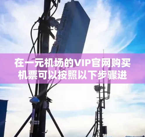 在一元机场的VIP官网购买机票可以按照以下步骤进行