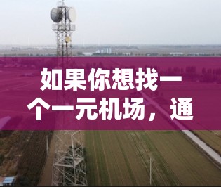 如果你想找一个一元机场,通常是在一个城市中只有一个机场的地方。以下是一些建议,帮助你找到合适的机场