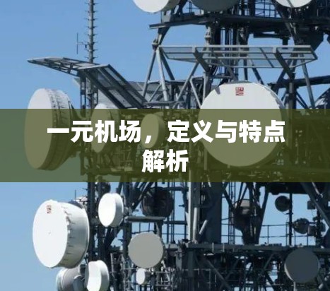 一元机场，定义与特点解析