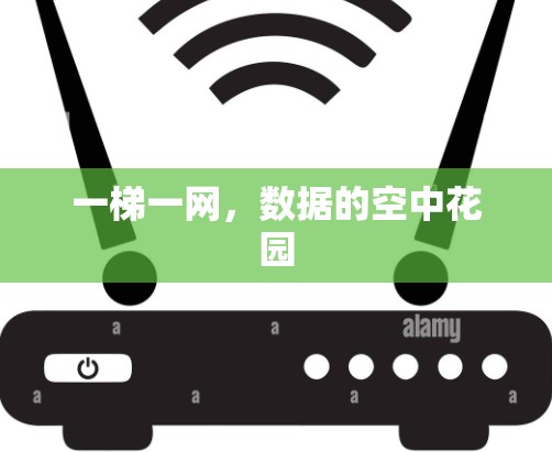 一梯一网，数据的空中花园