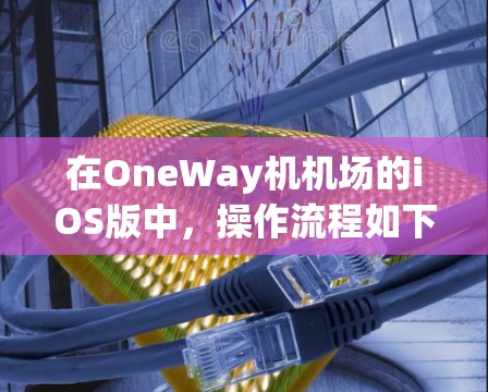 在OneWay机机场的iOS版中，操作流程如下