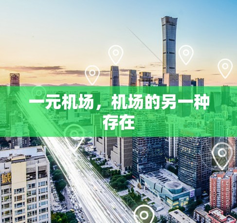 一元机场，机场的另一种存在