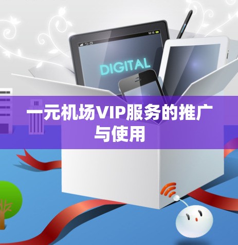 一元机场VIP服务的推广与使用