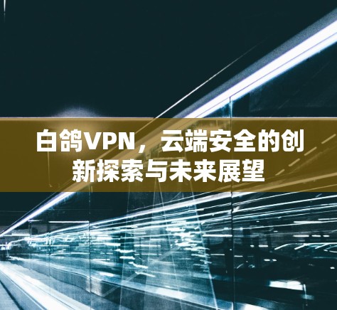 白鸽VPN，云端安全的创新探索与未来展望