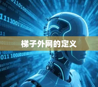 梯子外网的定义