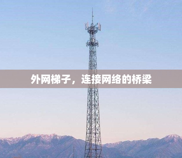 外网梯子，连接网络的桥梁
