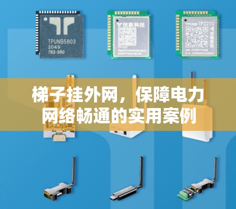 梯子挂外网，保障电力网络畅通的实用案例