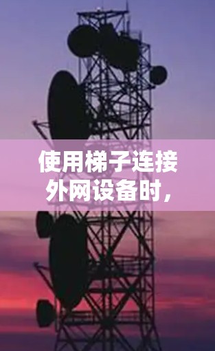 使用梯子连接外网设备时，以下是一些关键步骤和注意事项