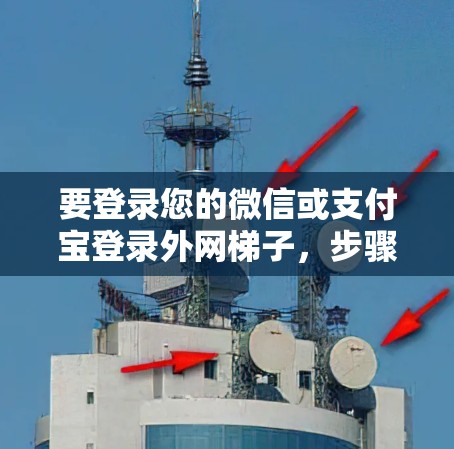 要登录您的微信或支付宝登录外网梯子，步骤如下