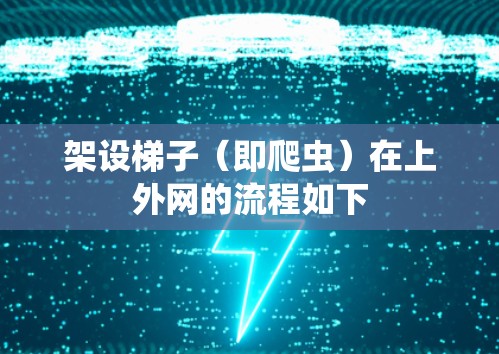 架设梯子（即爬虫）在上外网的流程如下