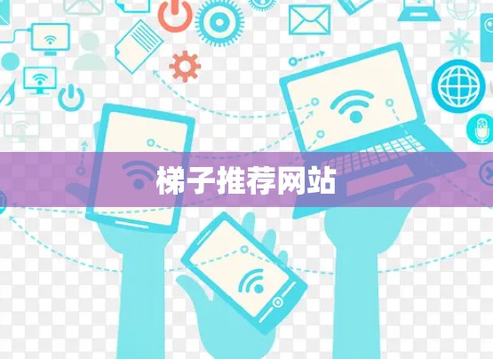 梯子推荐网站