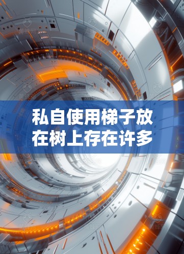私自使用梯子放在树上存在许多安全隐患，以下是详细的分析
