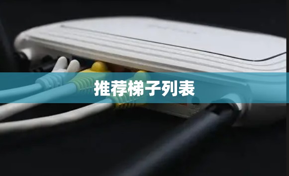 推荐梯子列表