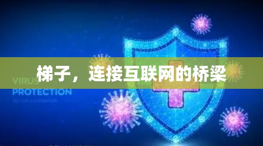 梯子，连接互联网的桥梁