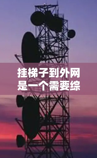 挂梯子到外网是一个需要综合考虑多个因素的步骤，包括确定外网的IP地址、服务器端口、工具准备、绳子固定、连接牢固性、服务器运行性和防火墙设置。以下是一个清晰的步骤指南
