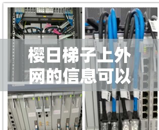 樱日梯子上外网的信息可以分为以下几个方面