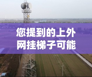 您提到的上外网挂梯子可能是指您在使用某个网络设备或系统时需要挂梯子以实现某种功能。例如，您可能需要挂梯子来管理服务器设备、监控网络设备的状态，或者用于设备的连接或配置
