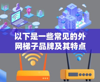 以下是一些常见的外网梯子品牌及其特点