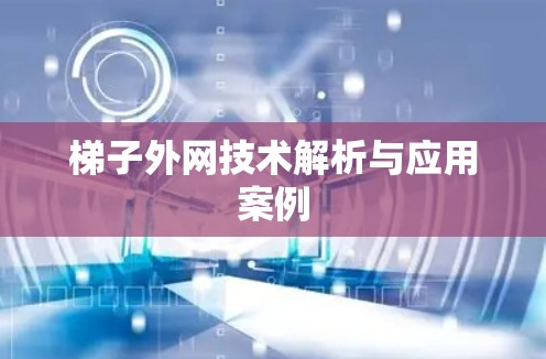 梯子外网技术解析与应用案例 梯子外网技术解析与应用案例