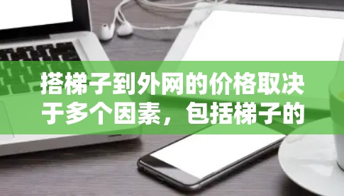 搭梯子到外网的价格取决于多个因素，包括梯子的长度、材质、数量、角度等因素。以下是一些关键点