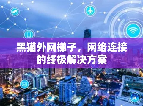 黑猫外网梯子，网络连接的终极解决方案