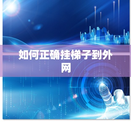 如何正确挂梯子到外网
